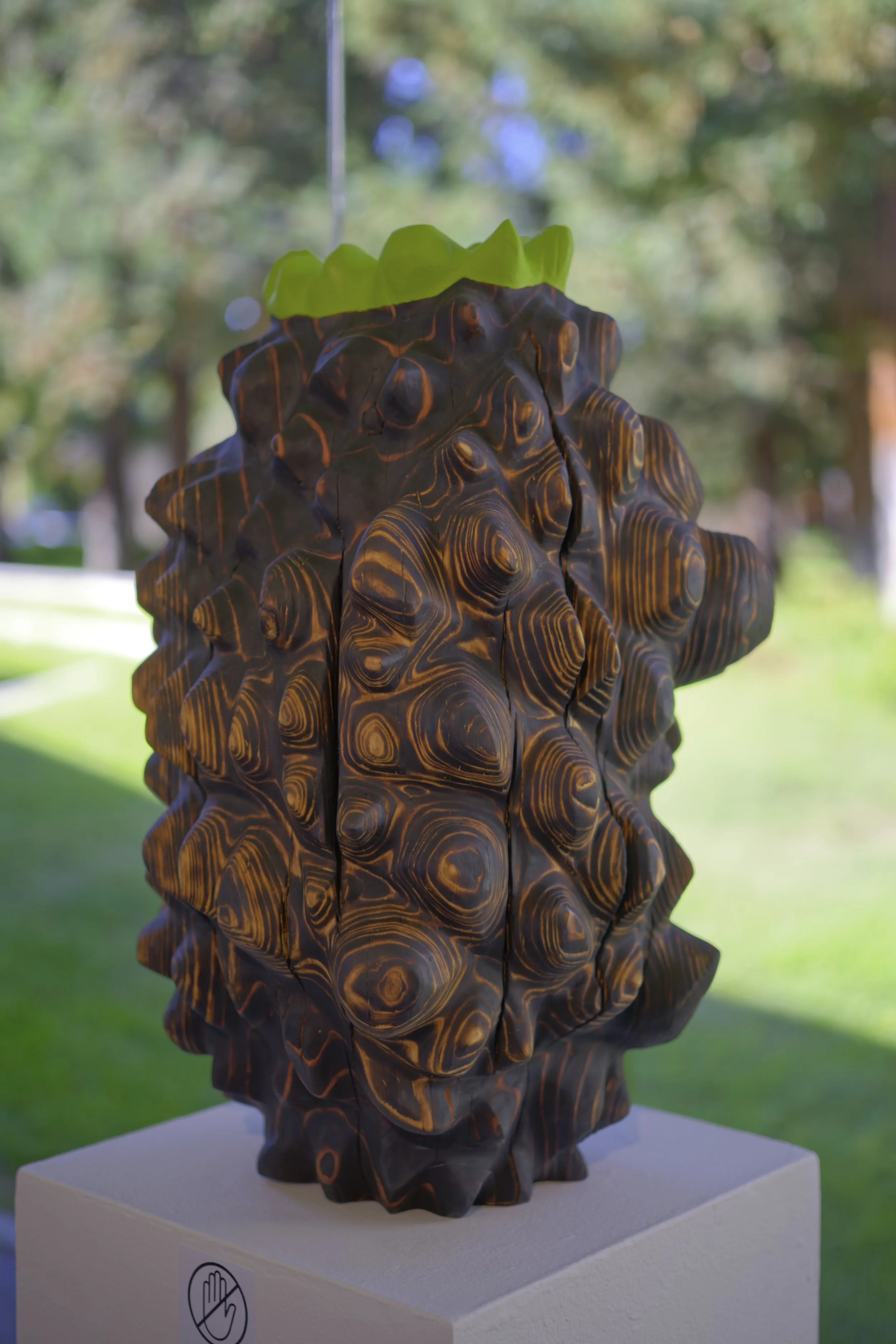 Holding Hope — charred California redwood form, carved to expose its growth rings.