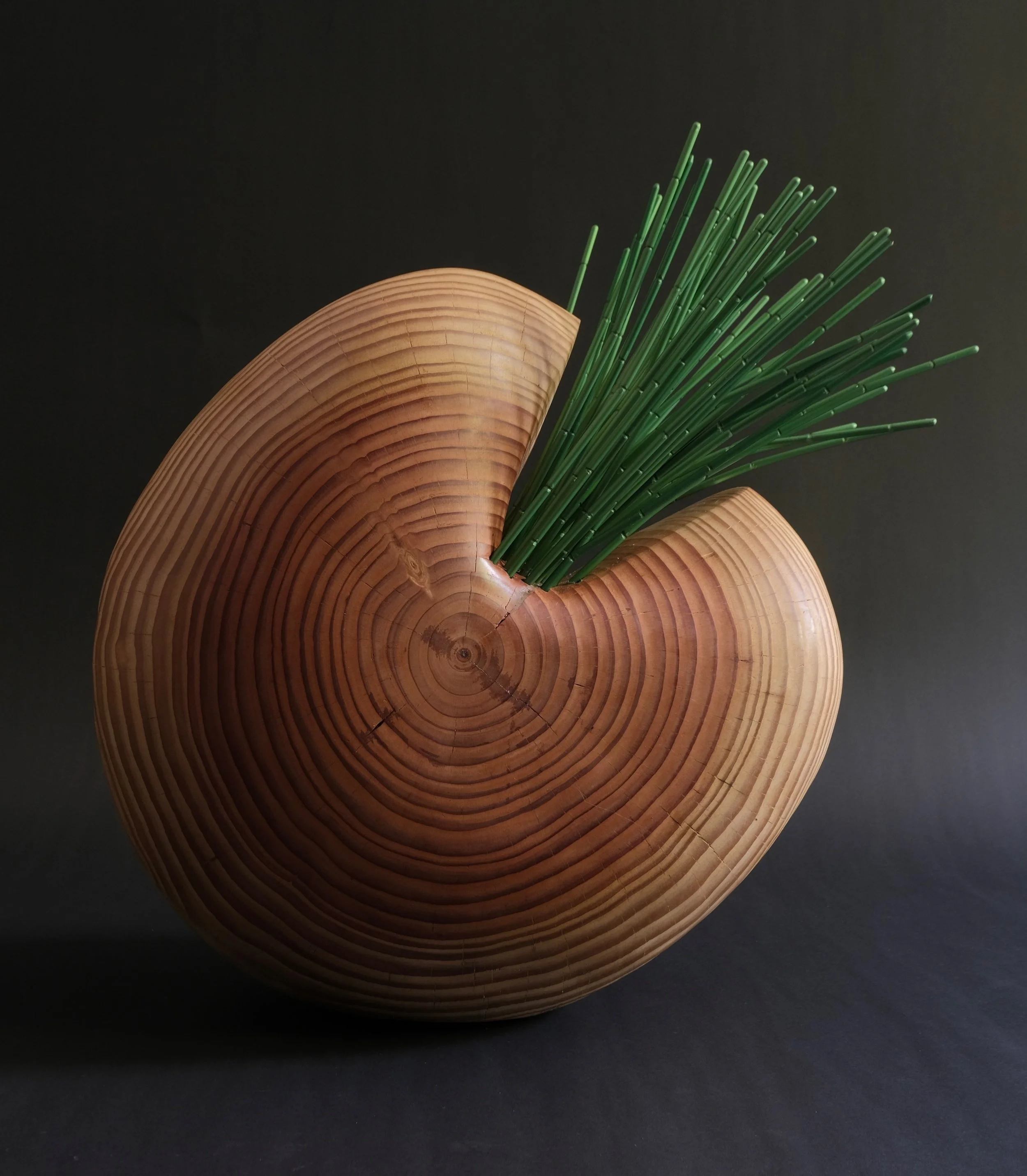 Reeds — a rounded wood form sprouting a sheaf of slender green anodized-aluminium reeds.