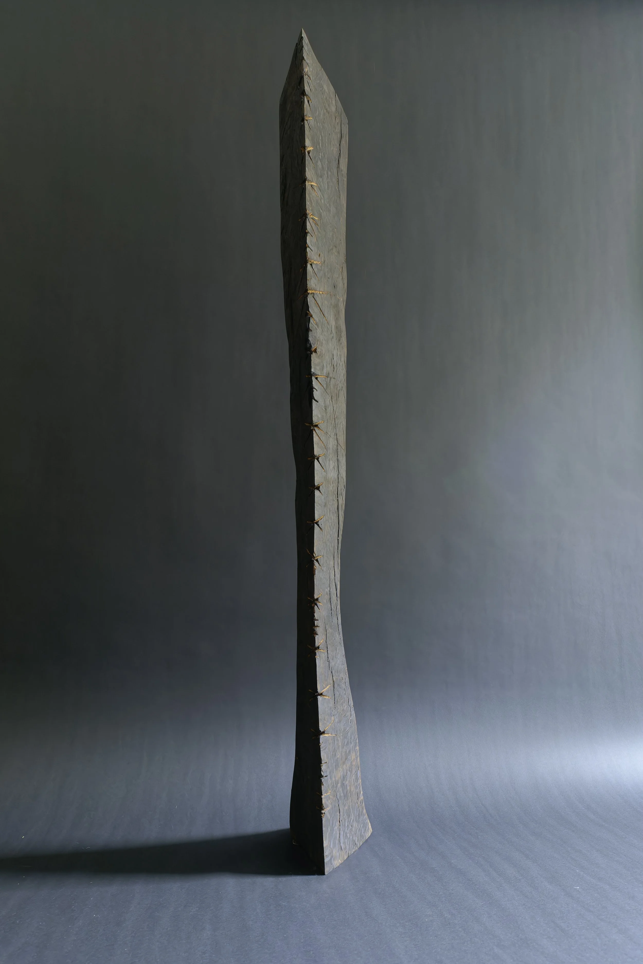 Two Bodies, Healing — a tall charred wood blade standing against a grey studio backdrop.