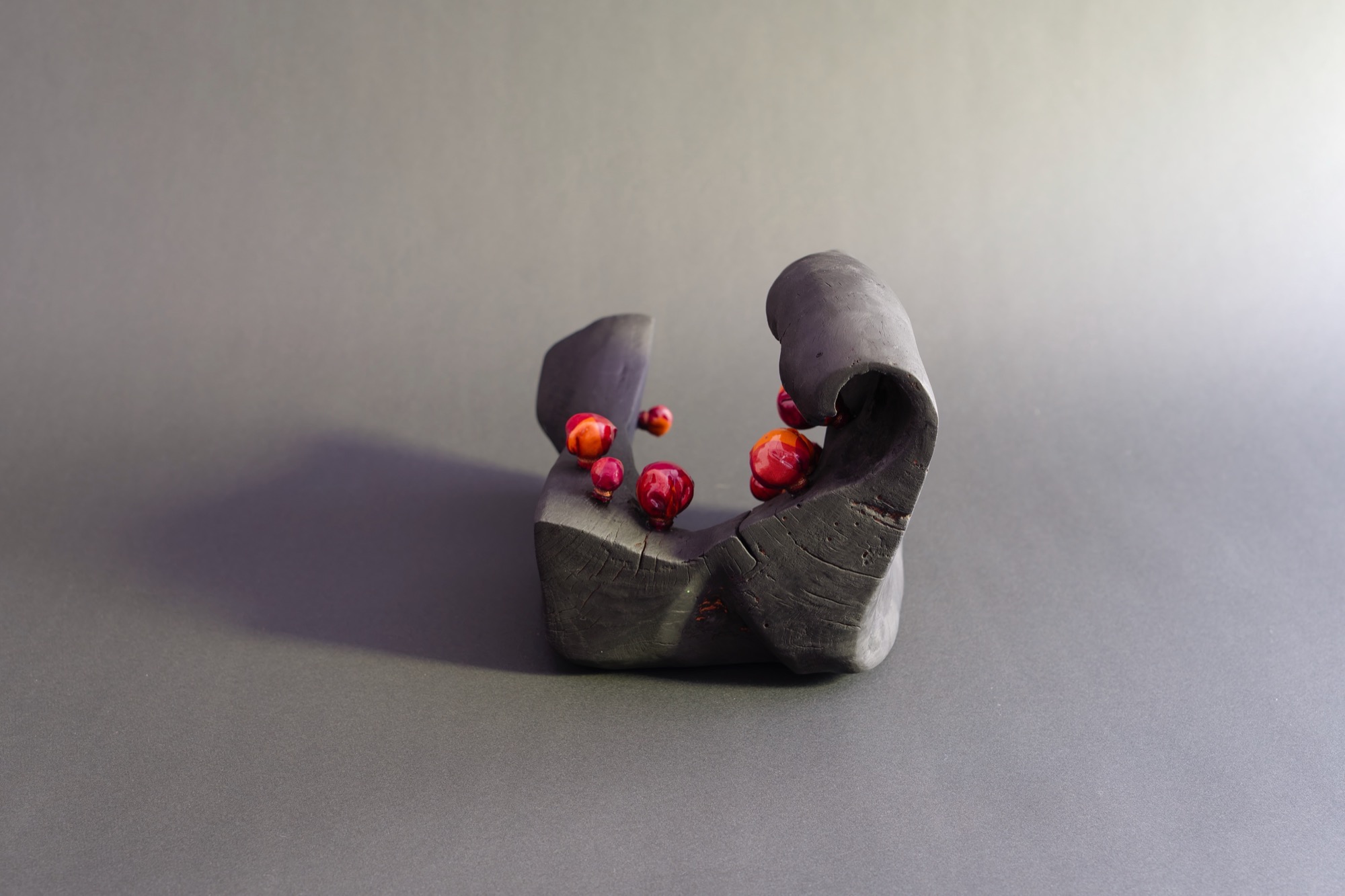 Relic — a small charred wood form cradling clusters of red pods, against a grey backdrop.