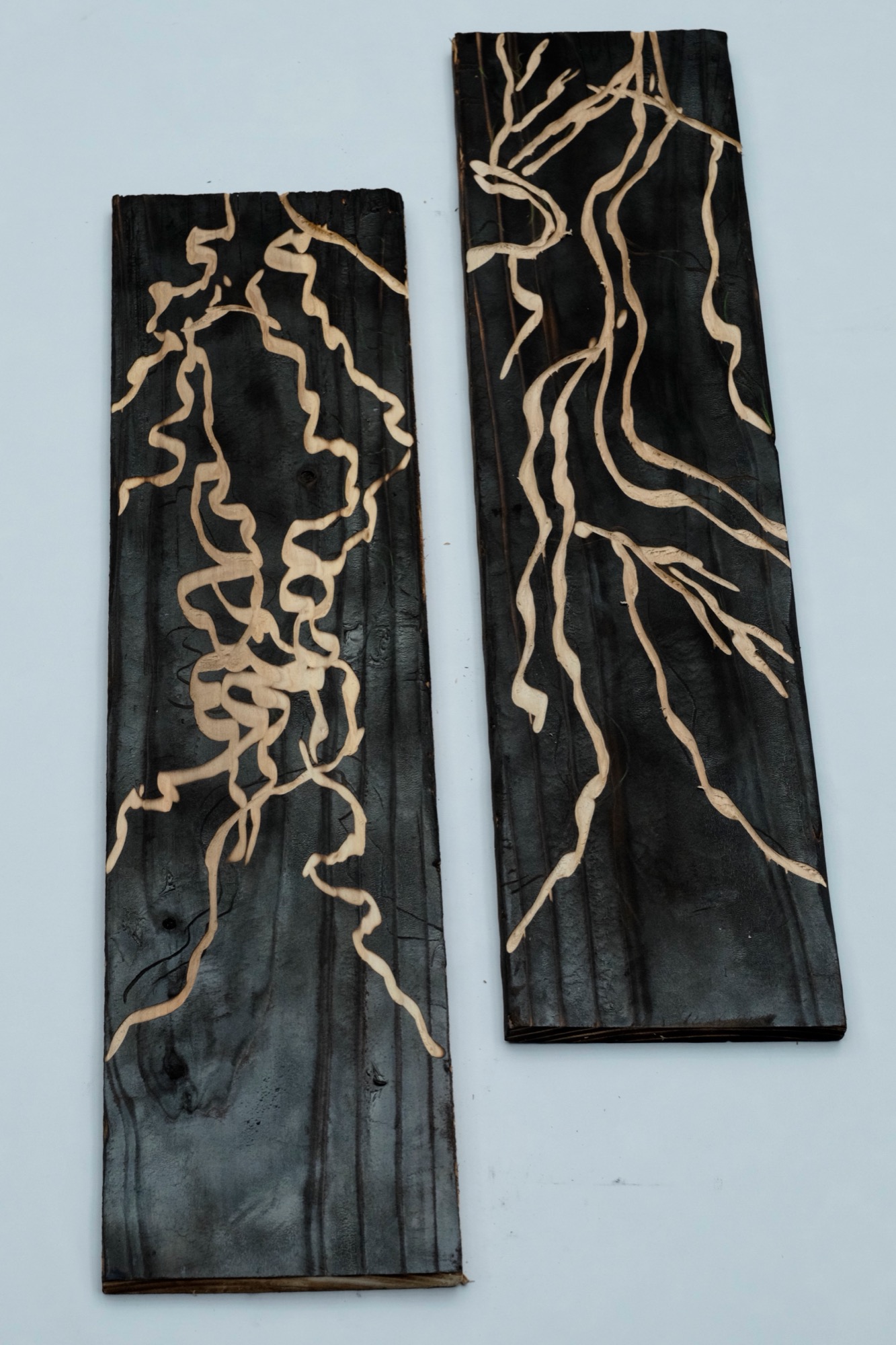 Wood Blocks — two charred planks whose pale grain traces wander like river channels.